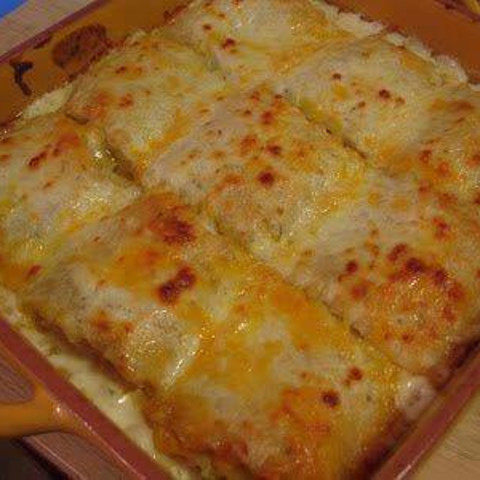 chicken alfredo lasagna rolls